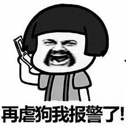 带你吃瓜秀恩爱  第1张