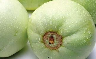 病人可以吃茄瓜吗,营养与健康的双重保障  第1张