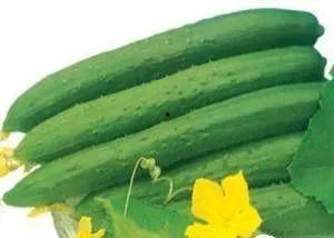 夏天吃的瓜生吃  第3张