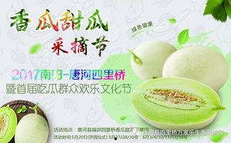 镇平网红吃瓜,揭秘网络红人的幕后生活  第1张