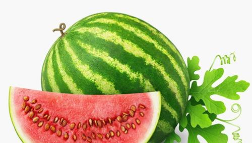 有痔疮吃冰镇哈密瓜  第3张