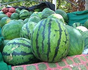 天选的吃瓜,揭秘娱乐圈幕后风云  第2张