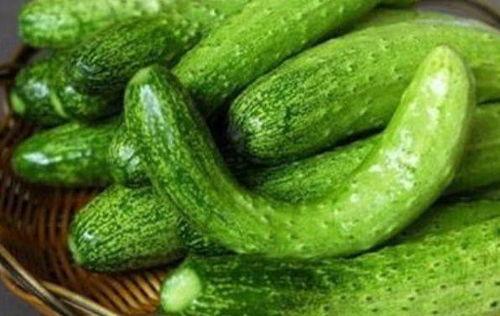 吃瓜群名大全,趣味横生的社交圈命名艺术  第3张