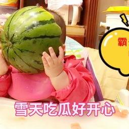 吃瓜小七  第1张