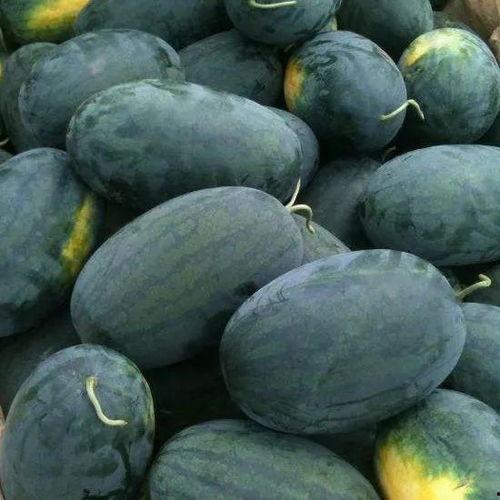 大涵宝吃瓜,揭秘娱乐圈幕后故事  第1张