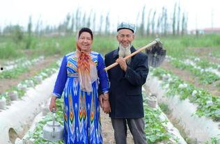 自顾潇洒吃瓜,吃瓜群众如何乐享人生  第2张