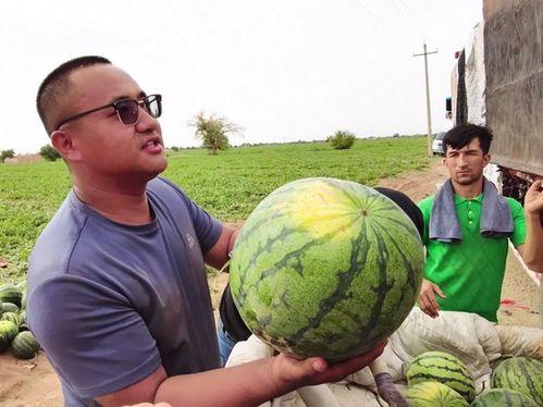淋雨吃瓜,一场淋雨后的意外美味邂逅  第2张