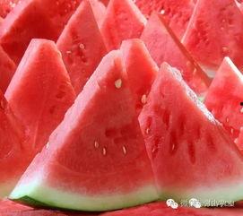 吃瓜刚摘的新瓜图片,新鲜出炉，一起来尝鲜！  第1张