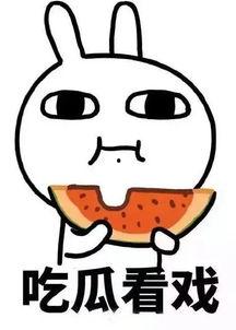 娱乐吃瓜酱克制,揭秘娱乐圈背后的真相与趣味  第1张