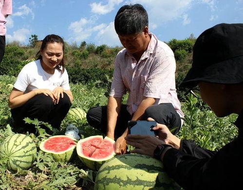 吃瓜群众 岱,揭秘背后的故事与真相  第3张