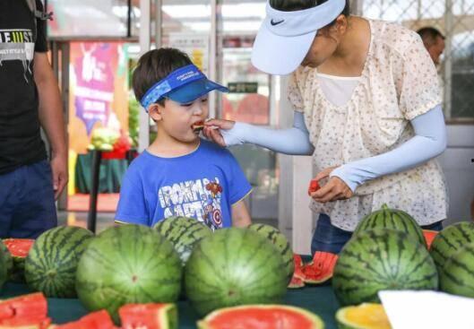 吃瓜群众俗称,揭秘“吃瓜群众”背后的网络文化现象  第1张