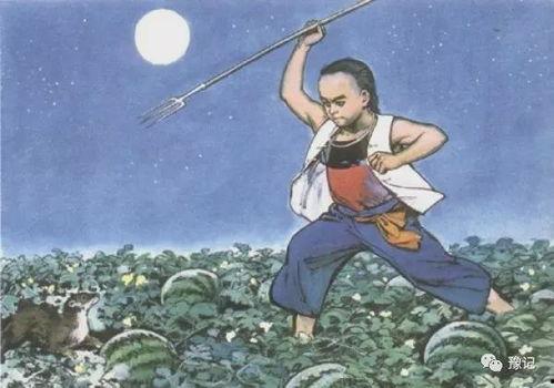 猹儿找瓜吃,一场奇妙的觅食之旅  第3张