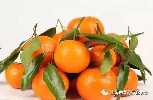 阿橘吃瓜,揭秘娱乐圈那些不为人知的幕后故事  第1张