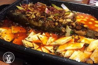 人家吃瓜你吃鱼,见证人间百态  第2张