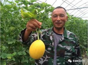 福利海外吃瓜,一场别开生面的吃瓜盛宴  第2张