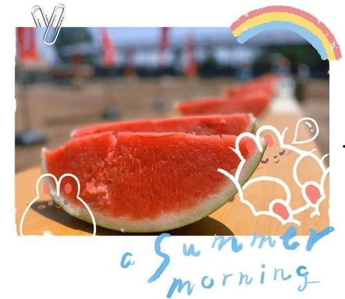 白象现场吃瓜  第3张