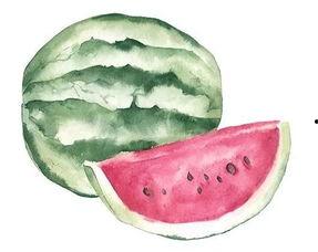 吃瓜观看者,揭秘吃瓜群众背后的娱乐狂欢  第3张