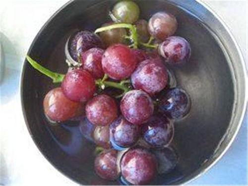 瓜尔葡萄怎么吃,解锁美味新体验 第2张 瓜尔葡萄怎么吃,解锁美味新体验 第2张