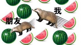 777r.吃瓜 top,热门话题背后的真相与笑料  第1张