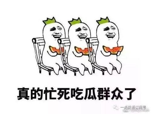吃瓜群众的英文,Insights from the Asides of Onlookers: A Glimpse into Public's Perspective  第3张
