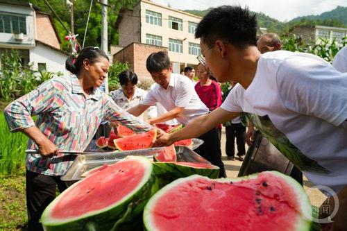 吃大瓜看热闹,揭秘娱乐圈的“吃瓜”狂欢  第3张